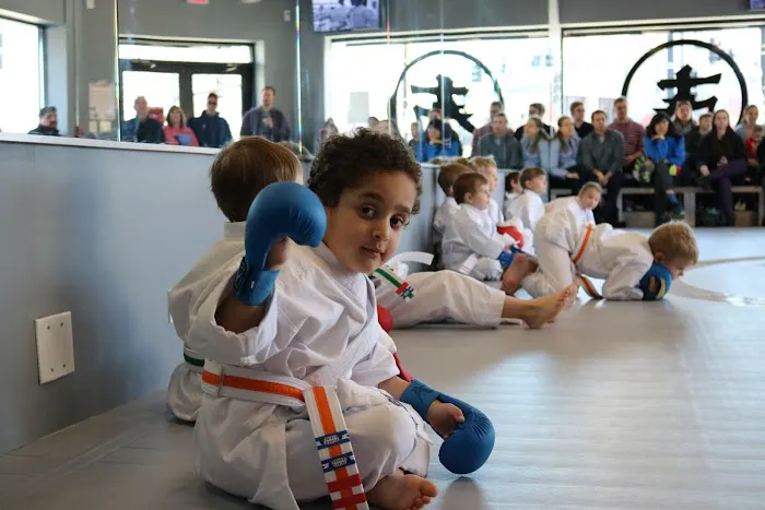 Fonseca Martial Arts - Park Ridge Picture 8