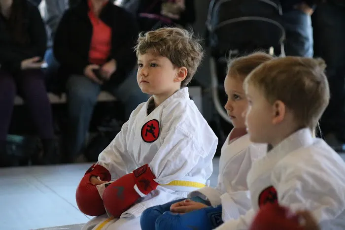 Fonseca Martial Arts - Park Ridge Picture 6