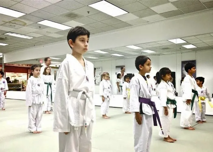 Shim's Martial Arts Training Center Picture 10