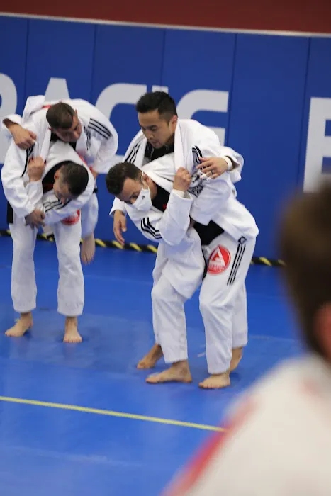 Gracie Barra Downers Grove Picture 1