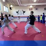 American Martial Arts Academy - Bolingbrook