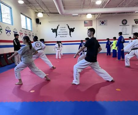 American Martial Arts Academy - Bolingbrook
