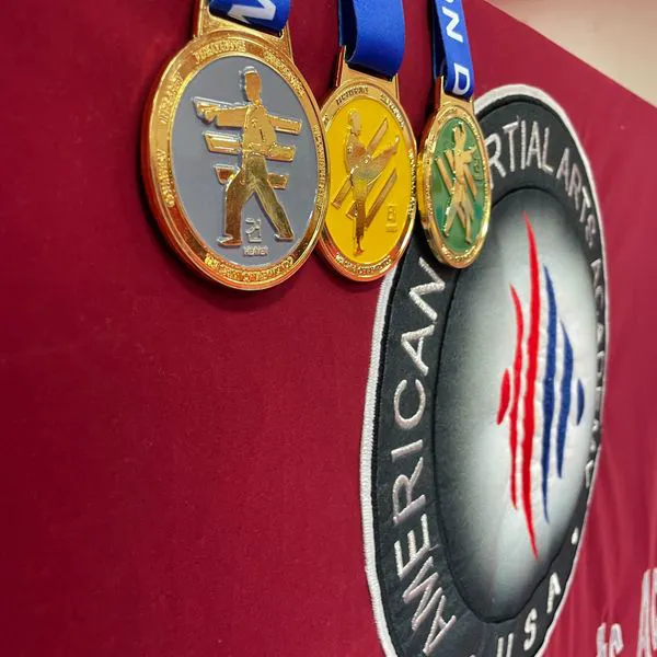 American Martial Arts Academy - Bolingbrook Picture 6