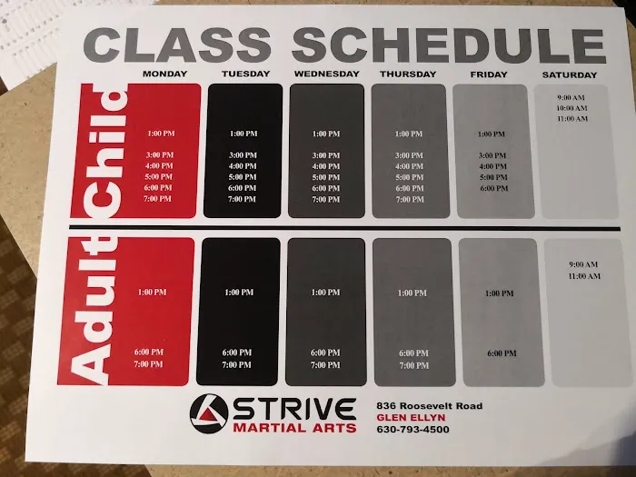 Strive Martial Arts Picture 1