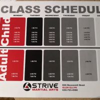 Strive Martial Arts ico