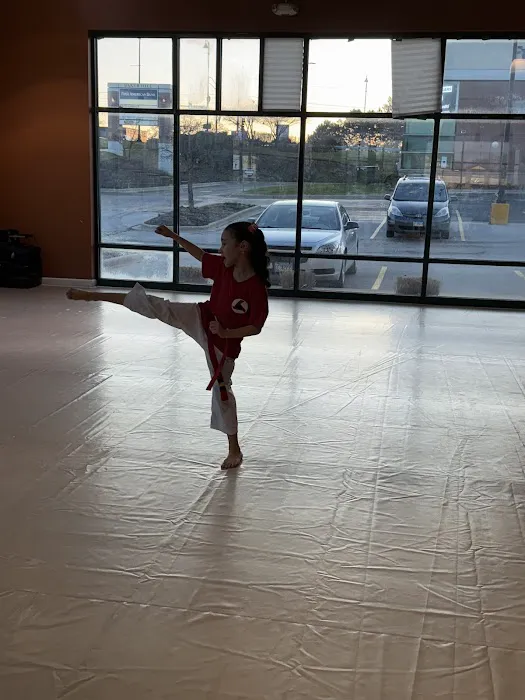 Strive Martial Arts Picture 5