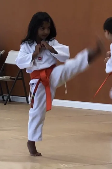 Strive Martial Arts Picture 9