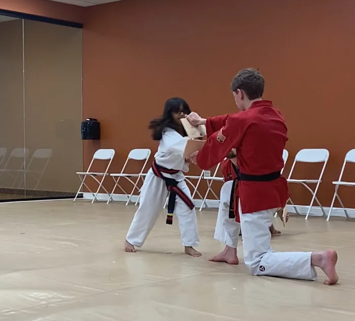 Strive Martial Arts Picture 8