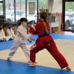 MJ's Taekwondo Academy - Naperville