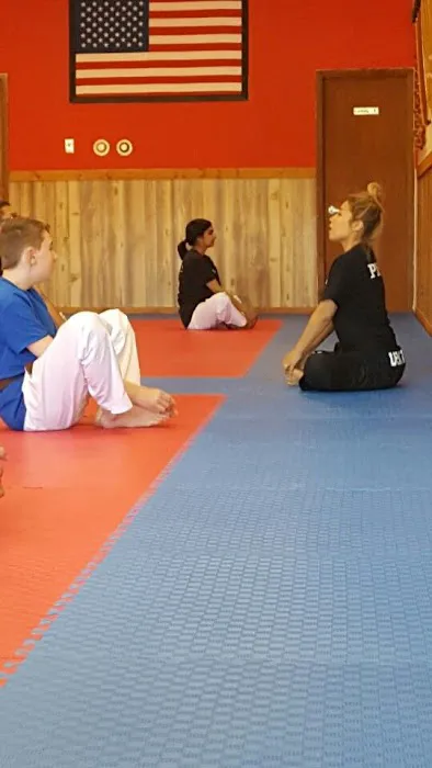 MJ's Taekwondo Academy - Naperville Picture 8