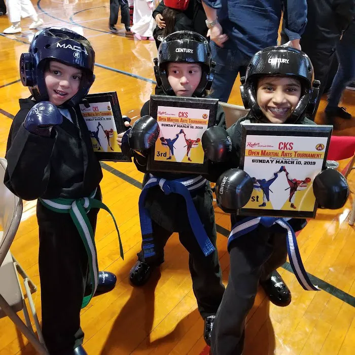 Saga Martial Arts Picture 10