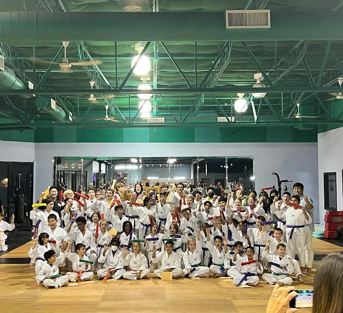 Jang's Taekwondo Studio-Wooddale Picture 8