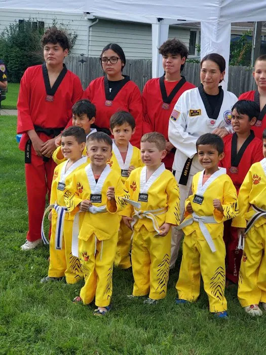 Martial Arts USA of IL Picture 3