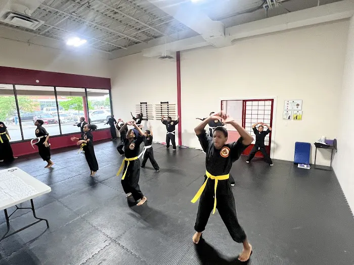 Unlimited Martial Arts Academy Picture 4