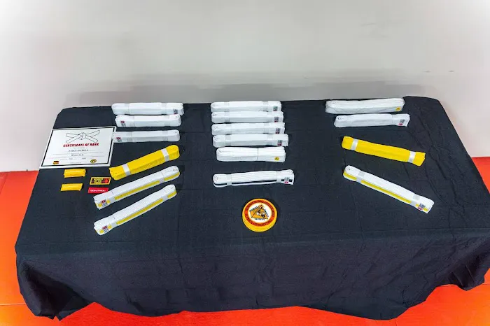 Unlimited Martial Arts Academy Picture 7