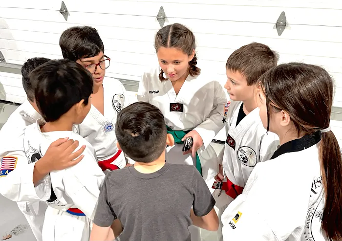 Rising Star Martial Arts Picture 9