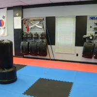 Iron Dragon Black Belt Academy ico