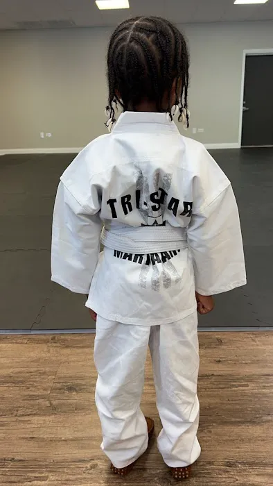 Tri-Star Martial Arts Academy - New Lenox Picture 1