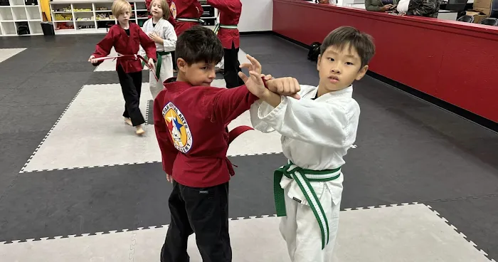 Tri-Star Martial Arts Academy - New Lenox Picture 3