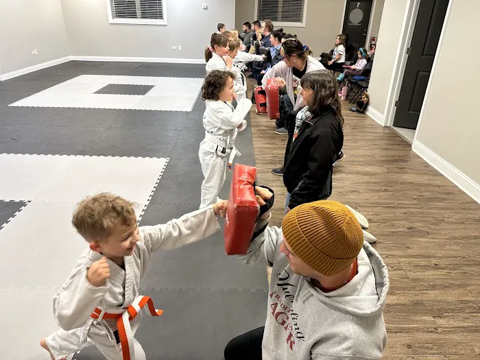 Tri-Star Martial Arts Academy - New Lenox Picture 8