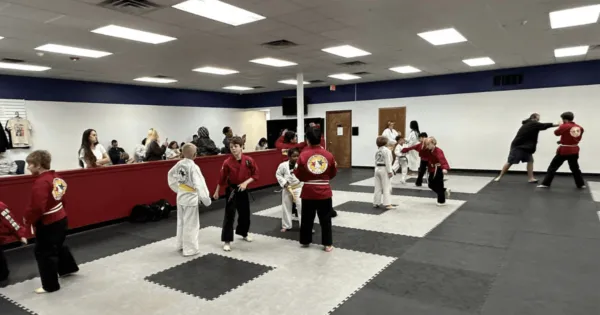 Tri-Star Martial Arts Academy - New Lenox Picture 7