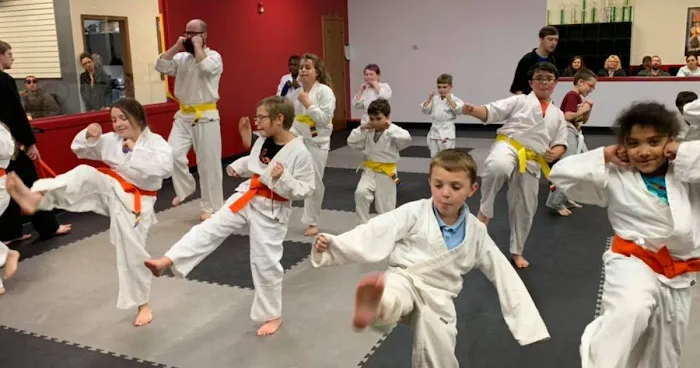 Tri-Star Martial Arts Academy - New Lenox Picture 10