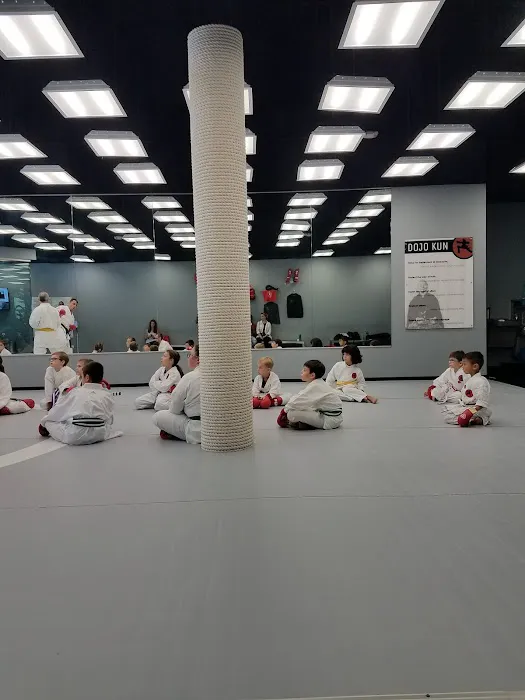 Fonseca Martial Arts - Glenview Picture 6