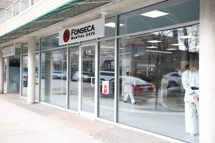 Fonseca Martial Arts - Wilmette Picture 10