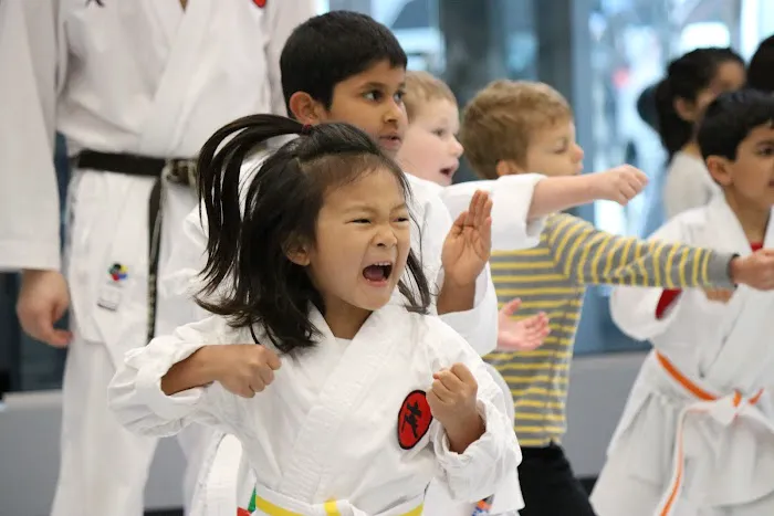 Fonseca Martial Arts - Wilmette Picture 4