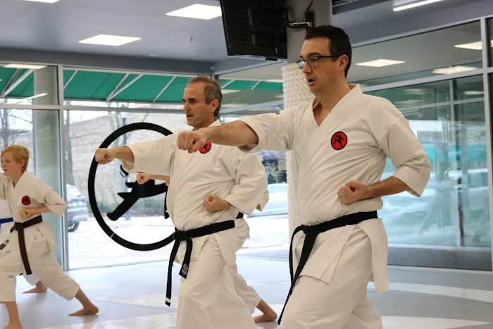 Fonseca Martial Arts - Wilmette Picture 8