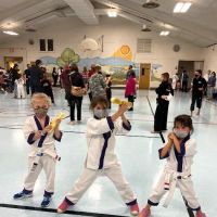 Championship Martial Arts ico