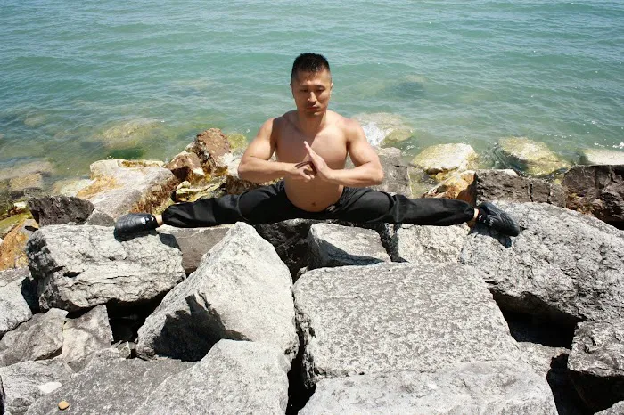 Freddie's Modern Kung Fu Picture 1