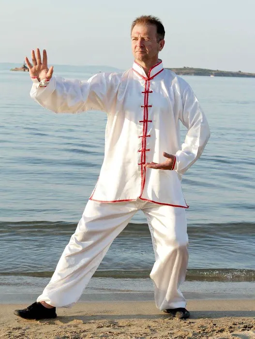 Yang Family Tai Chi - Chicagoland Picture 1