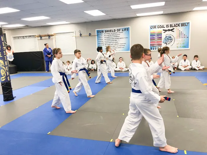 A+ Taekwondo Academy Picture 3