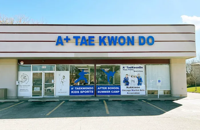 A+ Taekwondo Academy Picture 2