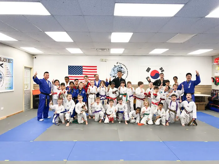 A+ Taekwondo Academy Picture 9
