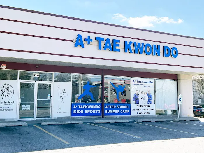 A+ Taekwondo Academy Picture 10