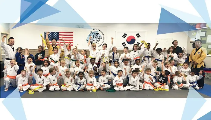 A+ Taekwondo Academy Picture 7