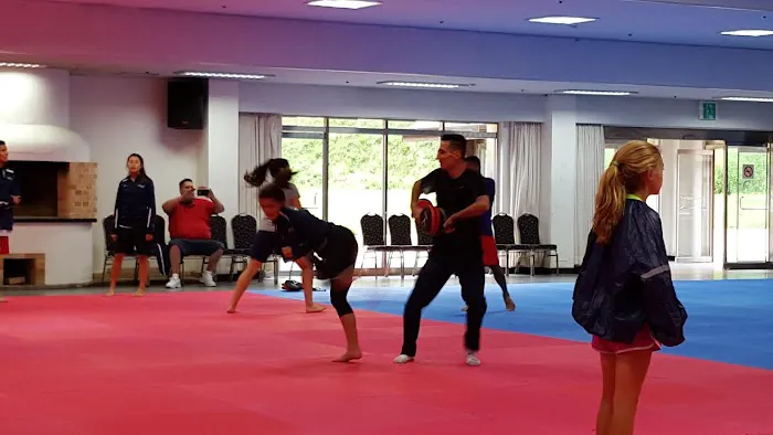 Revolution Taekwondo Picture 5