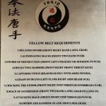 Tekio Kenpo Academy