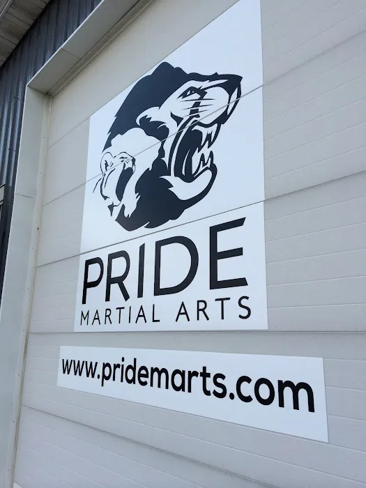 Pride Martial Arts Picture 9