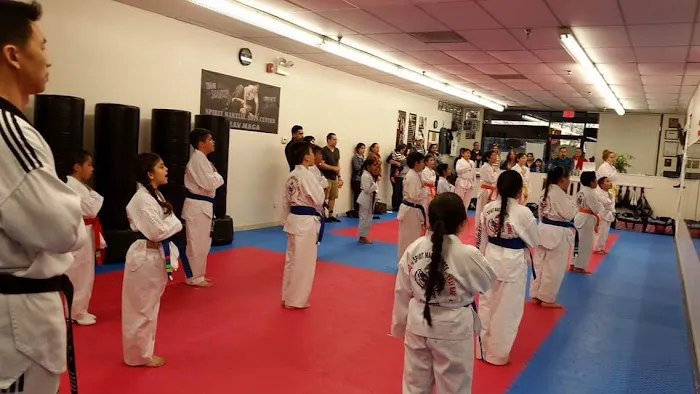 Spirit Martial Arts Center LLC Picture 6