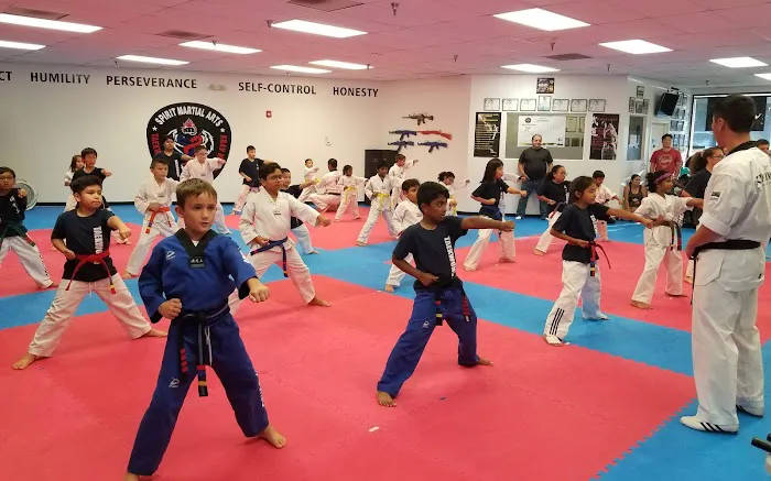 Spirit Martial Arts Center LLC Picture 1
