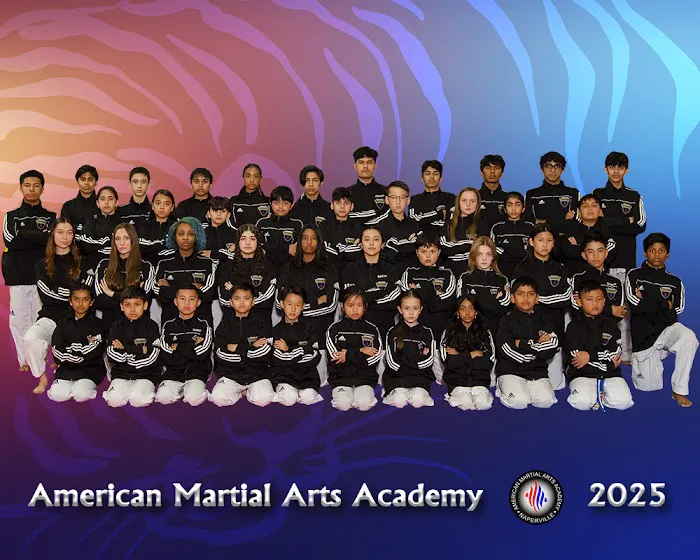American Martial Arts Academy - Naperville Picture 3