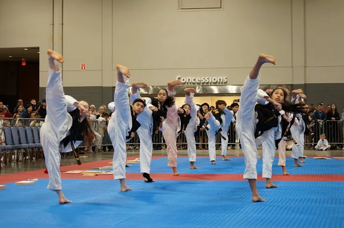 American Martial Arts Academy - Naperville Picture 2