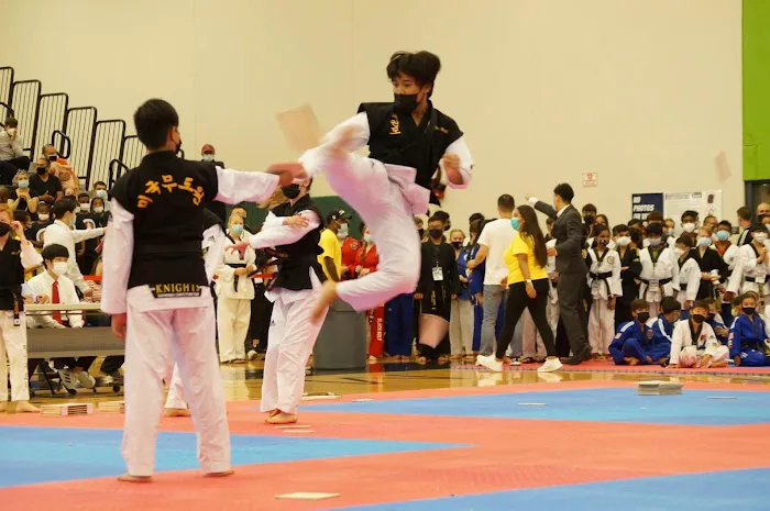 American Martial Arts Academy - Naperville Picture 1