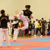American Martial Arts Academy - Naperville ico