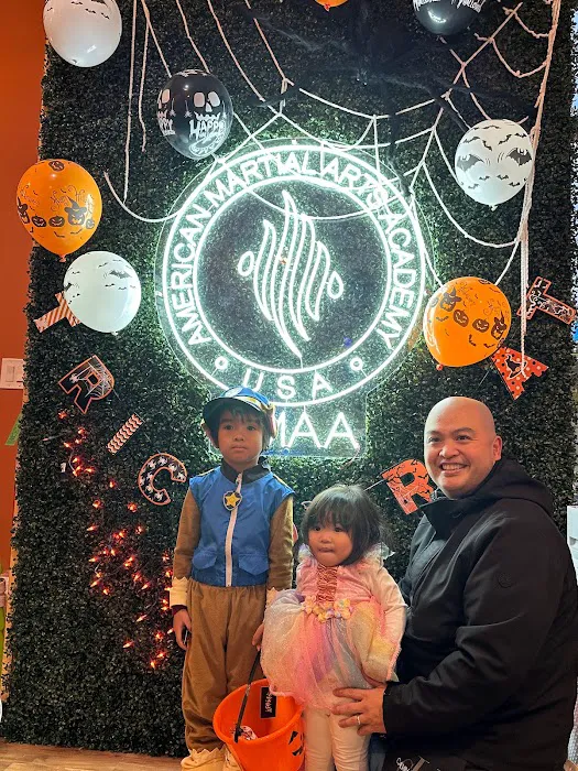 American Martial Arts Academy - Naperville Picture 8