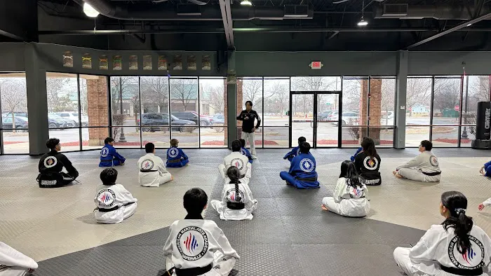 American Martial Arts Academy - Naperville Picture 6