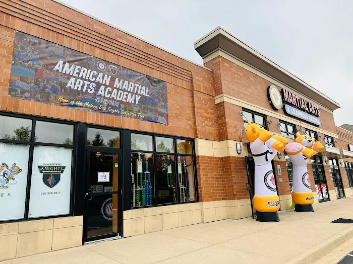 American Martial Arts Academy - Naperville Picture 7